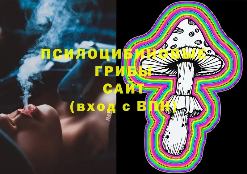 Галлюциногенные грибы Magic Shrooms  Правдинск 